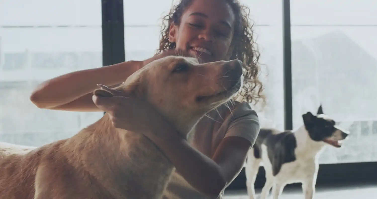 soins-bien-etre-garde-d-animaux